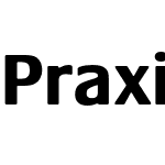 Praxis LT Pro