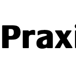 Praxis LT Pro