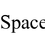 Spacer