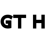 GT Haptik