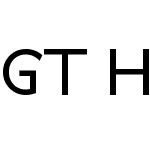 GT Haptik