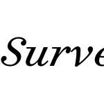 Surveyor Text