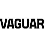 VAGUARD BASIC