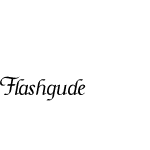 Flashgude