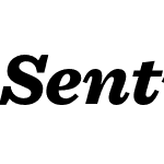 Sentinel Pro