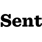 Sentinel Pro