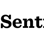 Sentinel Pro