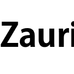 ZauriSans B