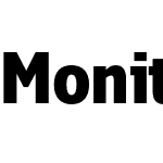 Monitor Condensed