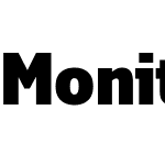 Monitor Condensed