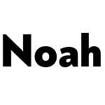 Noah Grotesque