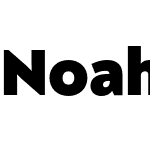 Noah Head