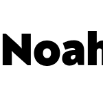 Noah Head