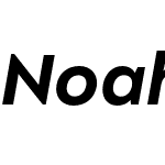 Noah Head