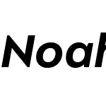 Noah Head