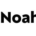 Noah Head