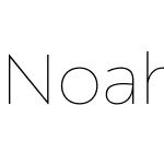 Noah Head