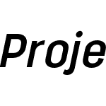 Project Sans