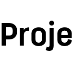 Project Sans