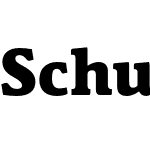 Schuss News Pro