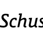 Schuss Slab Pro