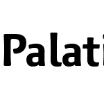 Palatino Sans Arabic