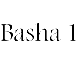 Basha 14E Light