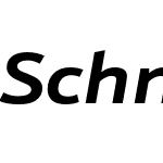 Schnebel Sans Pro Expand