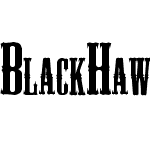 BlackHawk