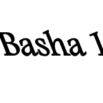 Basha 14B