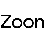 Zoom Pro