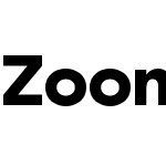 Zoom Pro