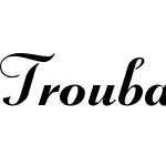 Troubadour Pro