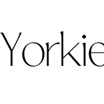 Yorkie DEMO