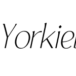 Yorkie DEMO