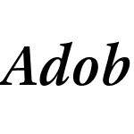 Adobe Text Pro