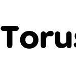 Torus Pro