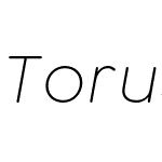 Torus Pro