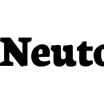 Neuton