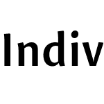 Indivisa Text Sans