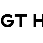 GT Haptik