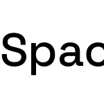 Space Grotesk Light