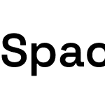 Space Grotesk Light