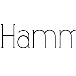 Hammer