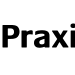 Praxis LT Pro