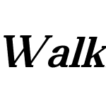 WalkieValkyrie