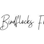 Birdflocks Free