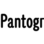 Pantograph Pro