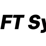 FT System