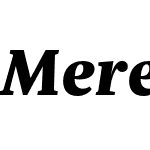 Meret Pro